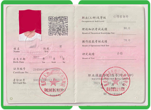证件证书联系方式填写规范:最全指南与常见错误避坑手册